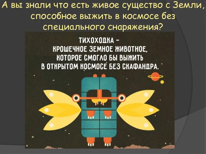 А вы знали что есть живое существо с Земли, способное выжить в космосе без специального снаряжения?