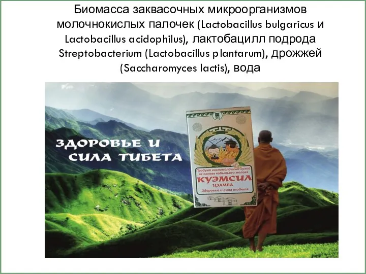 Биомасса заквасочных микроорганизмов молочнокислых палочек (Lactobacillus bulgaricus и Lactobacillus acidophilus), лактобацилл