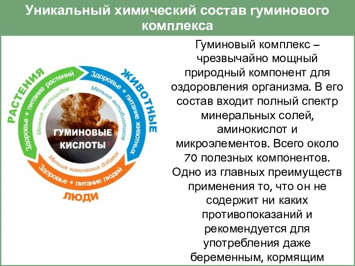 Уникальный химический состав гуминового комплекса Гуминовый комплекс – чрезвычайно мощный природный