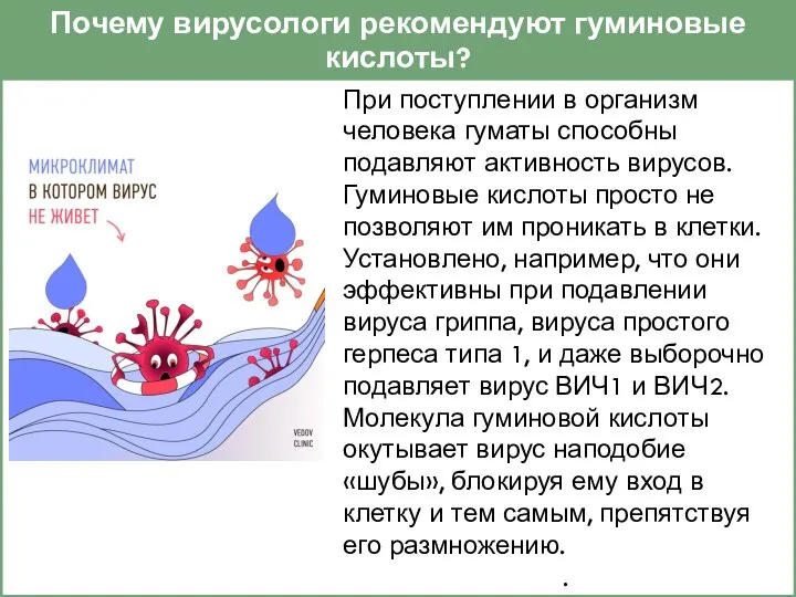 Почему вирусологи рекомендуют гуминовые кислоты? При поступлении в организм человека гуматы