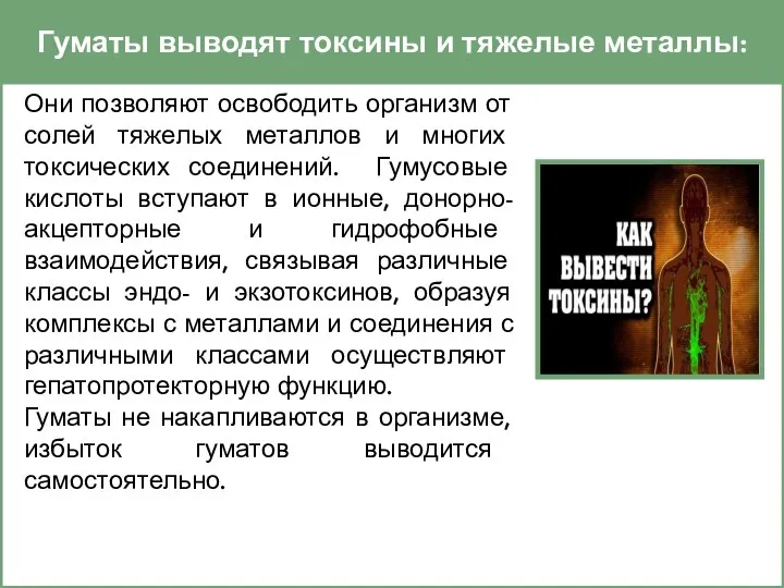 Гуматы выводят токсины и тяжелые металлы: Они позволяют освободить организм от