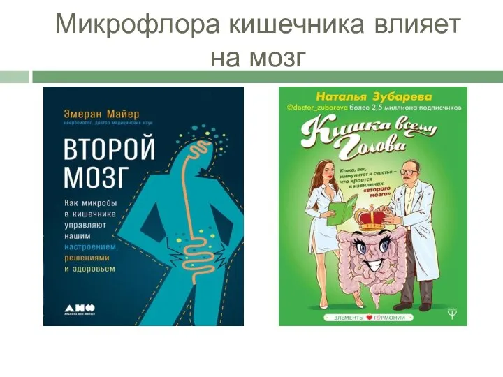 Микрофлора кишечника влияет на мозг