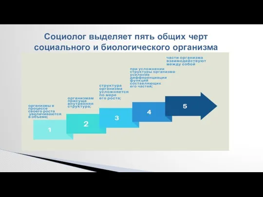 Социолог выделяет пять общих черт социального и биологического организма