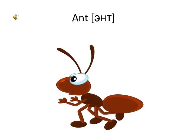 Ant [энт]