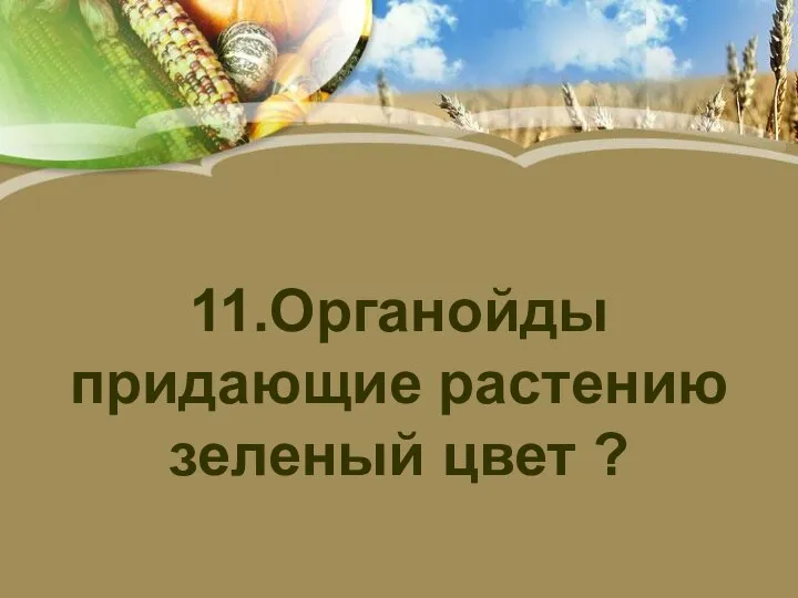 11.Органойды придающие растению зеленый цвет ?