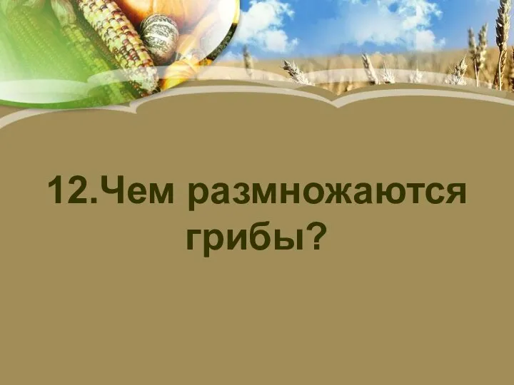 12.Чем размножаются грибы?