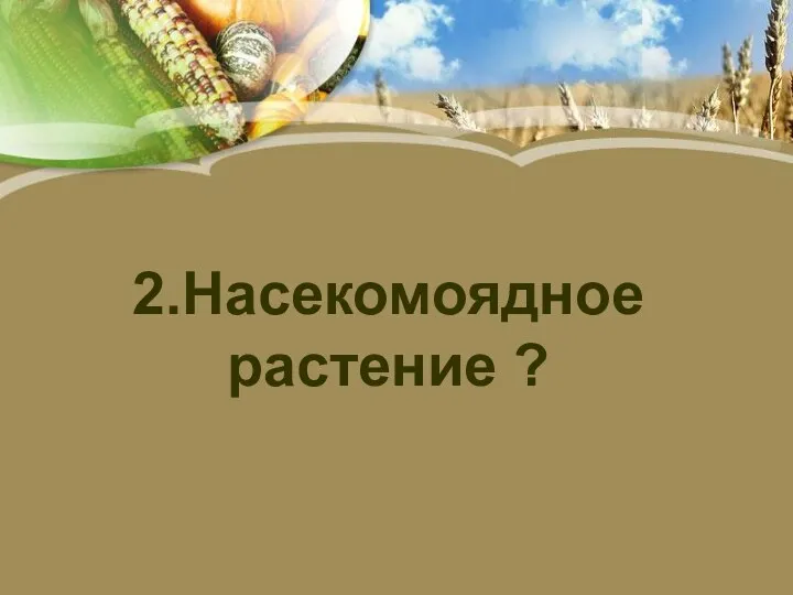 2.Насекомоядное растение ?