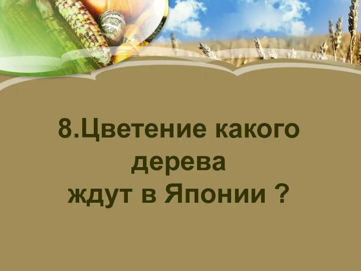 8.Цветение какого дерева ждут в Японии ?