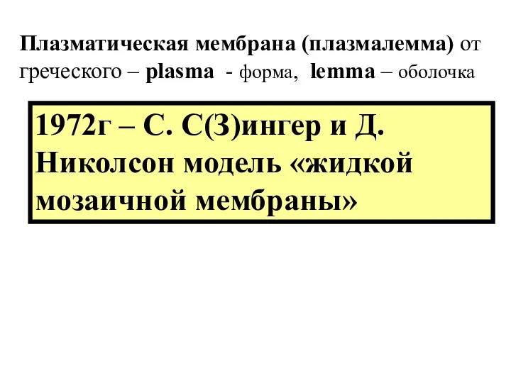 Плазматическая мембрана (плазмалемма) от греческого – plasma - форма, lemma –