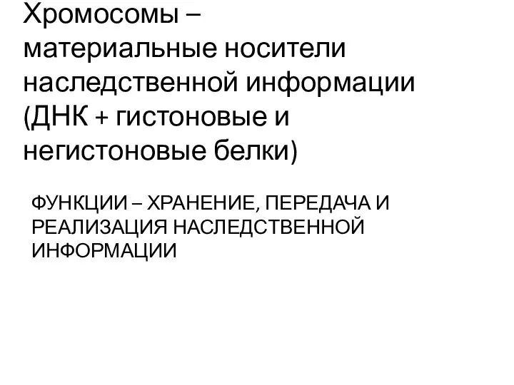 Хромосомы – материальные носители наследственной информации (ДНК + гистоновые и негистоновые