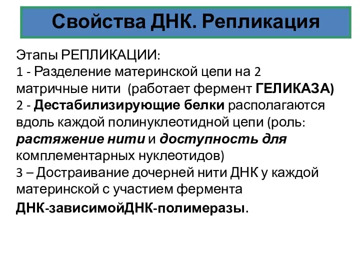 Свойства ДНК. Репликация Этапы РЕПЛИКАЦИИ: 1 - Разделение материнской цепи на