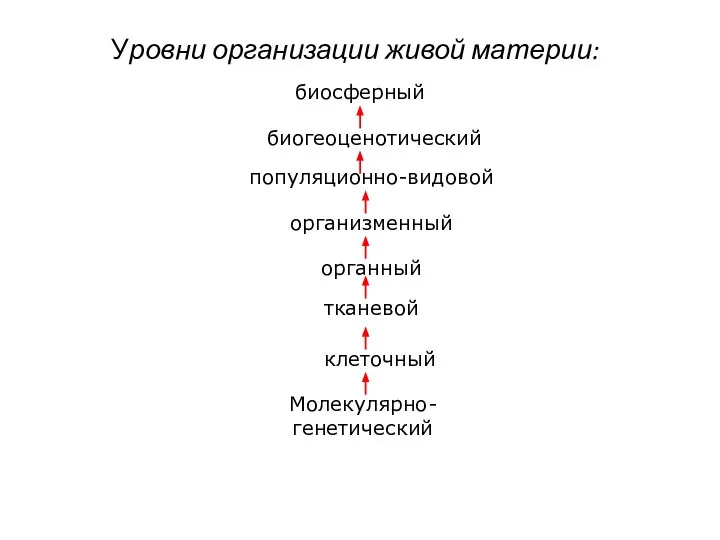 Уровни организации живой материи: биосферный биогеоценотический популяционно-видовой организменный органный тканевой клеточный Молекулярно-генетический