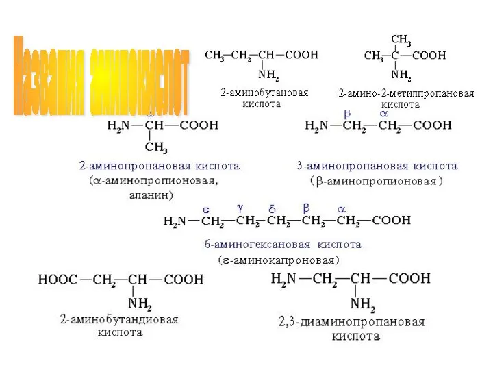 Названия аминокислот