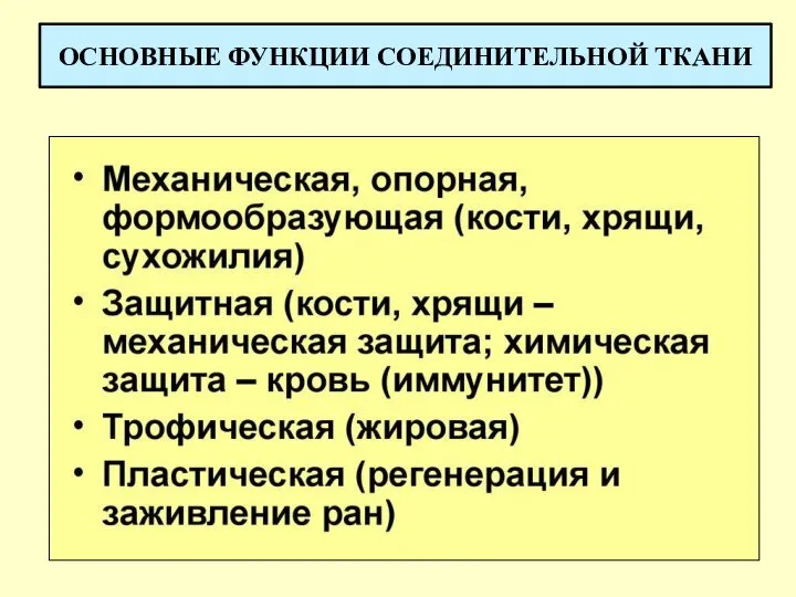 ОСНОВНЫЕ ФУНКЦИИ СОЕДИНИТЕЛЬНОЙ ТКАНИ