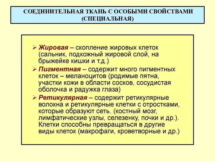 СОЕДИНИТЕЛЬНАЯ ТКАНЬ С ОСОБЫМИ СВОЙСТВАМИ (СПЕЦИАЛЬНАЯ)