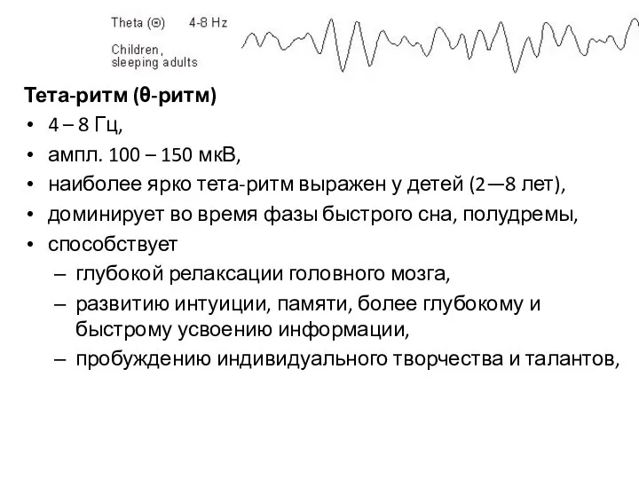 Тета-ритм (θ-ритм) 4 – 8 Гц, ампл. 100 – 150 мкВ,