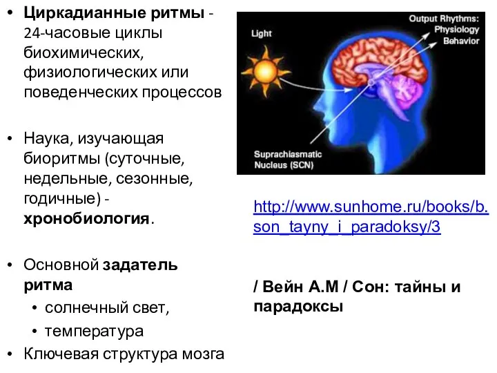 Циркадианные ритмы - 24-часовые циклы биохимических, физиологических или поведенческих процессов Наука,