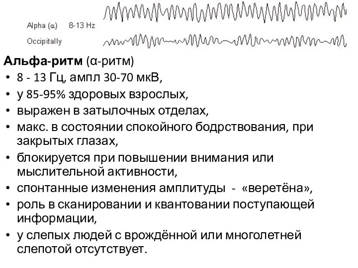 Альфа-ритм (α-ритм) 8 - 13 Гц, ампл 30-70 мкВ, у 85-95%