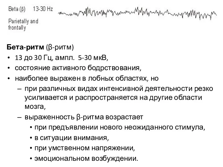 Бета-ритм (β-ритм) 13 до 30 Гц, ампл. 5-30 мкВ, состояние активного