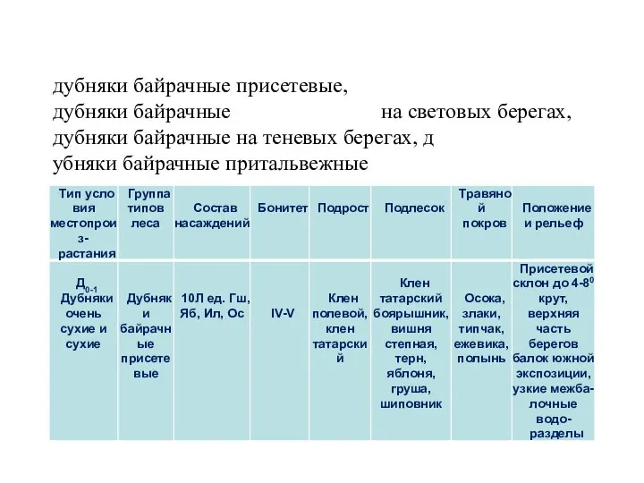 дубняки байрачные присетевые, дубняки байрачные на световых берегах, дубняки байрачные на