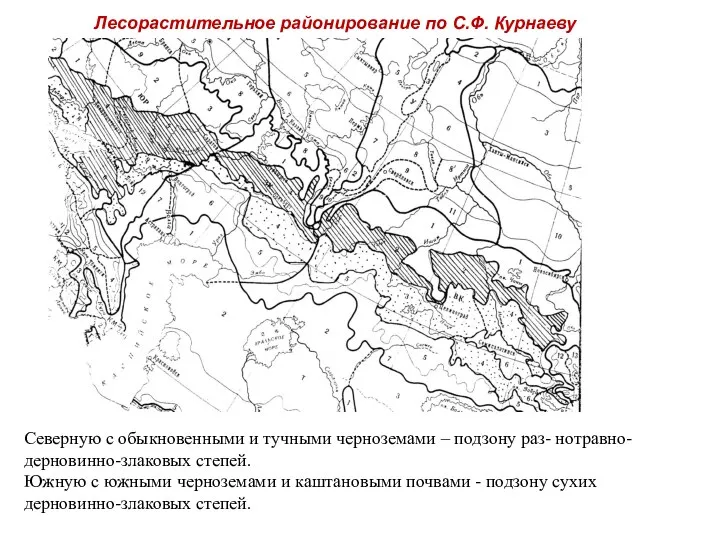 Северную с обыкновенными и тучными черноземами – подзону раз- нотравно-дерновинно-злаковых степей.