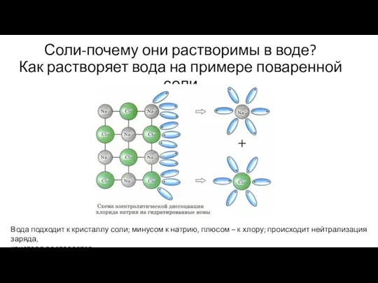 Соли-почему они растворимы в воде? Как растворяет вода на примере поваренной