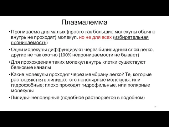 Плазмалемма Проницаема для малых (просто так большие молекулы обычно внутрь не