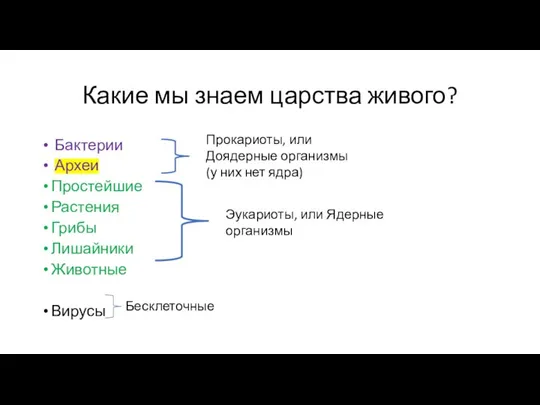 Какие мы знаем царства живого? Бактерии Археи Простейшие Растения Грибы Лишайники