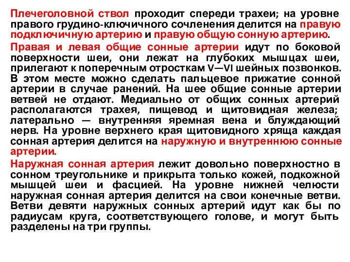 Плечеголовной ствол проходит спереди трахеи; на уровне правого грудино-ключичного сочленения делится