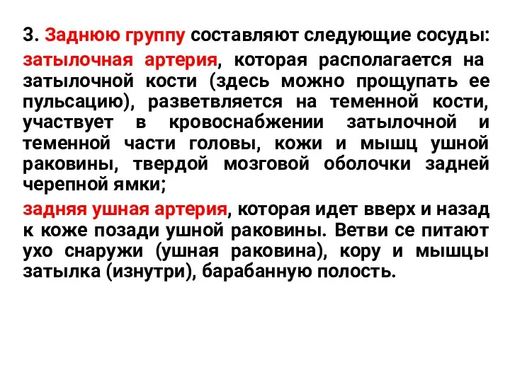 3. Заднюю группу составляют следующие сосуды: затылочная артерия, которая располагается на