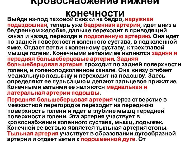 Кровоснабжение нижней конечности Выйдя из-под паховой связки на бедро, наружная подвздошная,