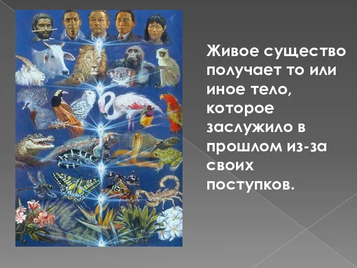 Живое существо получает то или иное тело, которое заслужило в прошлом из-за своих поступков.