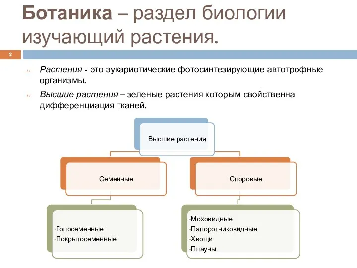 Ботаника – раздел биологии изучающий растения. Растения - это эукариотические фотосинтезирующие