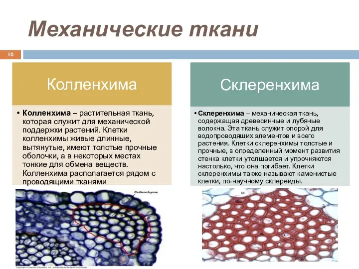 Механические ткани