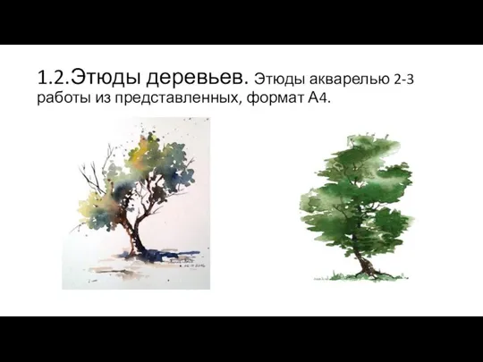 1.2.Этюды деревьев. Этюды акварелью 2-3 работы из представленных, формат А4.