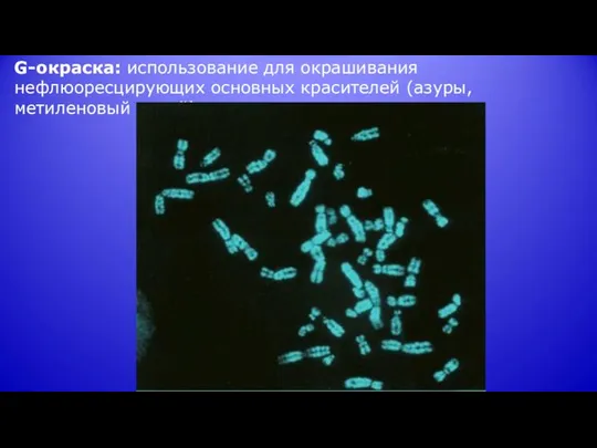G-окраска: использование для окрашивания нефлюоресцирующих основных красителей (азуры, метиленовый синий)