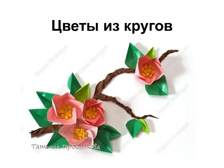 Цветы из кругов