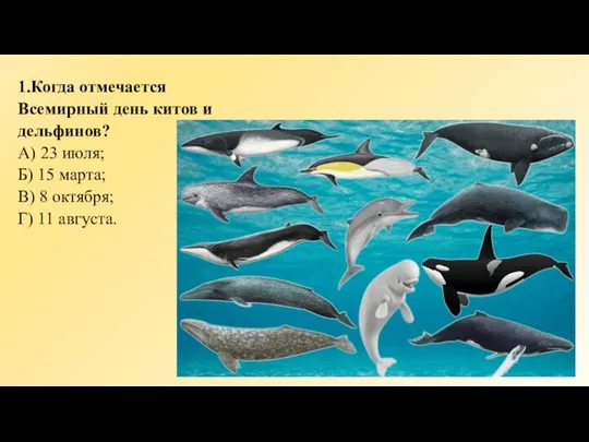 1.Когда отмечается Всемирный день китов и дельфинов? А) 23 июля; Б)