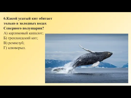 6.Какой усатый кит обитает только в холодных водах Северного полушария? А)