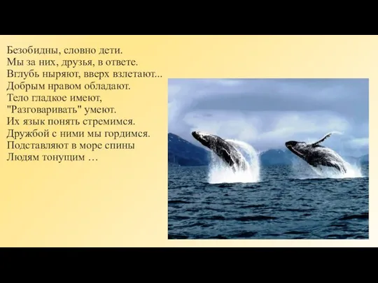 Безобидны, словно дети. Мы за них, друзья, в ответе. Вглубь ныряют,