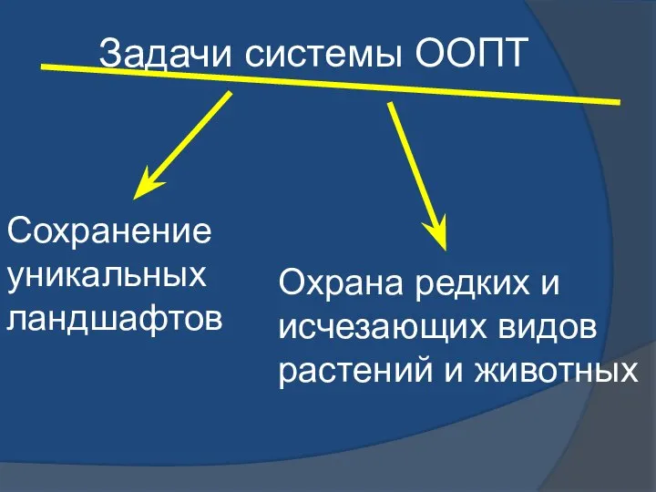 Задачи системы ООПТ Сохранение уникальных ландшафтов Охрана редких и исчезающих видов растений и животных