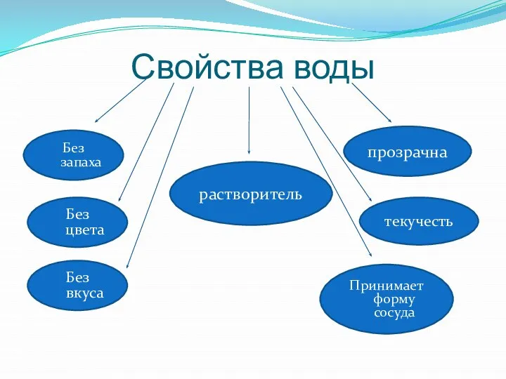 Свойства воды Принимает форму сосуда Без запаха растворитель Без вкуса Без цвета текучесть прозрачна