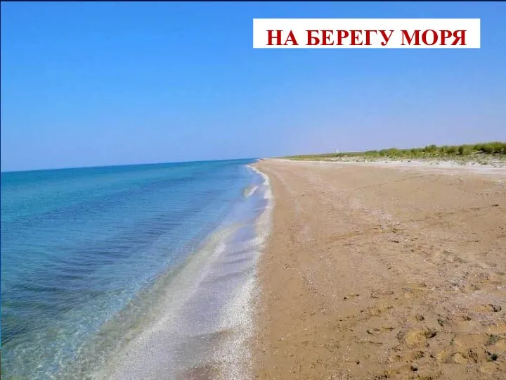 НА БЕРЕГУ МОРЯ