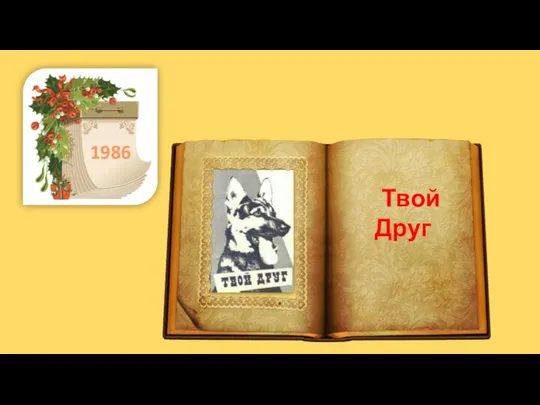 . 1986 Твой Друг