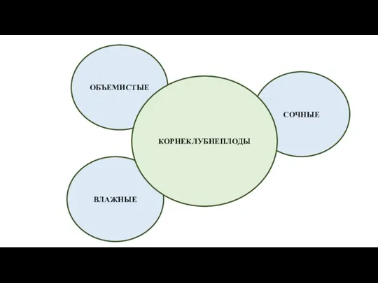 ОБЪЕМИСТЫЕ СОЧНЫЕ ВЛАЖНЫЕ КОРНЕКЛУБНЕПЛОДЫ