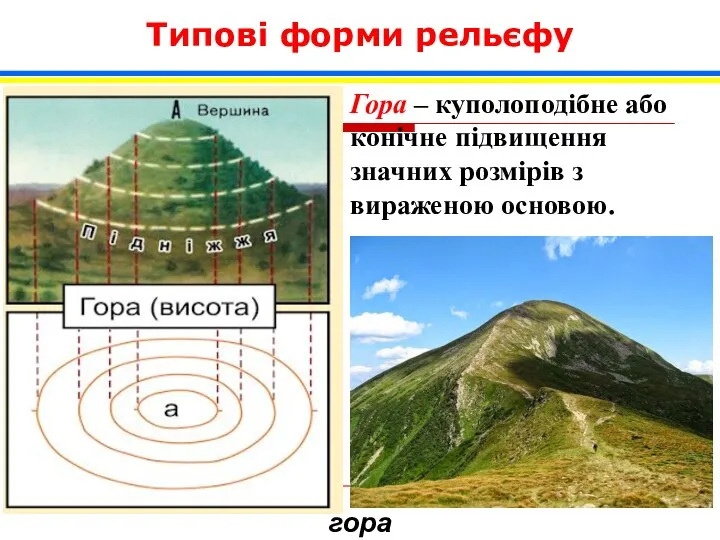 гора Типові форми рельєфу Гора – куполоподібне або конічне підвищення значних розмірів з вираженою основою.