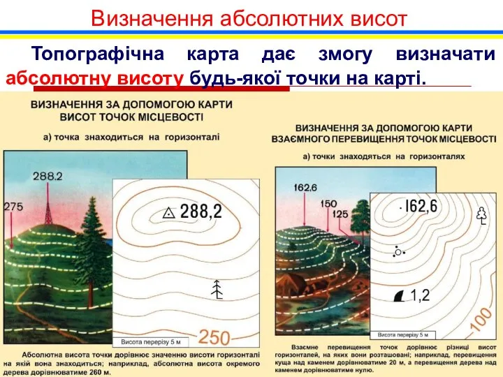 Визначення абсолютних висот Топографічна карта дає змогу визначати абсолютну висоту будь-якої точки на карті.