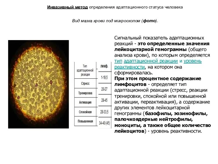 Инвазивный метод определения адаптационного статуса человека Вид мазка крови под микроскопом