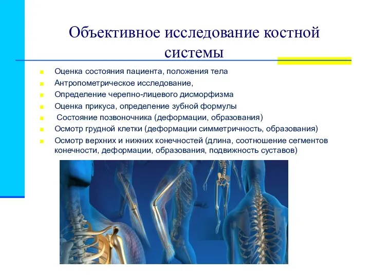 Объективное исследование костной системы Оценка состояния пациента, положения тела Антропометрическое исследование,