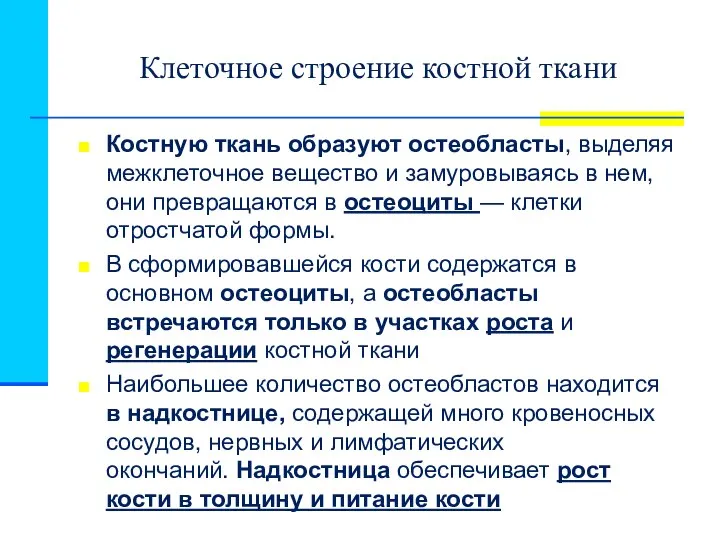 Клеточное строение костной ткани Костную ткань образуют остеобласты, выделяя межклеточное вещество